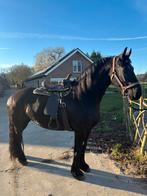 Westernzadel, Ophalen of Verzenden