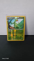 Pokemon Sceptile 8/160 XY Primal Clash Holo Rare, Ophalen of Verzenden, Zo goed als nieuw, Losse kaart, Foil