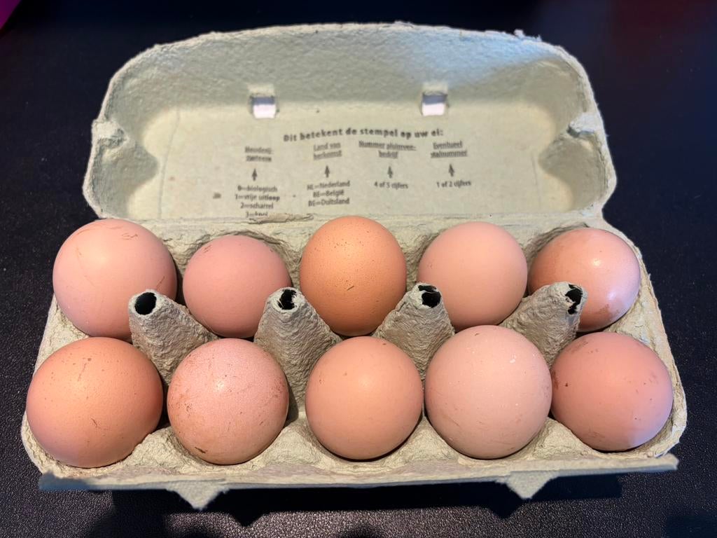 Verse scharreleieren, Ophalen, Zo goed als nieuw, Overige typen