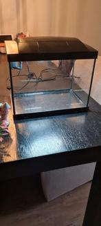 Aquarium met accessoires, Dieren en Toebehoren, Vissen | Aquaria en Toebehoren, Ophalen, Leeg aquarium
