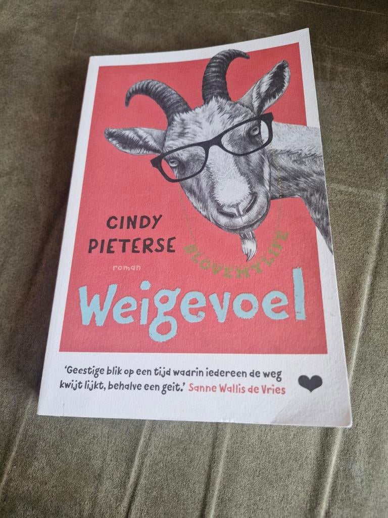 Weigegevoel - Cindy Pieterse (Roman), Ophalen of Verzenden, Zo goed als nieuw, Cindy Pieterse, Nederland