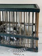 Vintage Frans groen houten vogelkooi met ruif en voerpotje, Antiek en Kunst, Ophalen of Verzenden