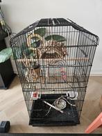 Vogelkooi, Ophalen, Zo goed als nieuw, Metaal, Vogelkooi