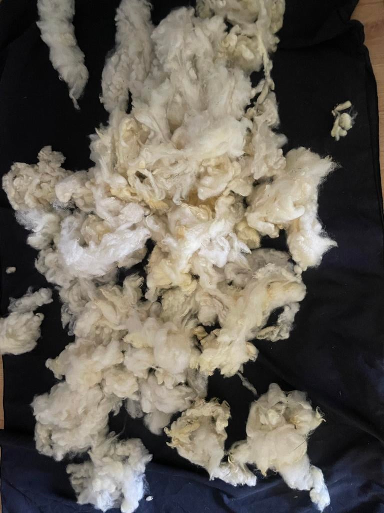 Natuurlijke schapenwol voor spinnen of vullen, Ophalen of Verzenden, Nieuw
