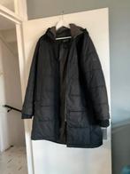 Donkergrijze jack wolfskin jas maat xl  in goede staat, Kleding | Dames, Ophalen of Verzenden, Zo goed als nieuw, Maat 46/48 (XL) of groter