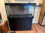 Complete Juwel 240L aquariumset – met kast, Fluval FX6, Dieren en Toebehoren, Vissen | Aquaria en Toebehoren, Ophalen, Gebruikt