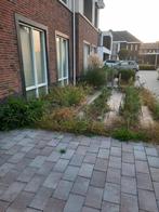 klusser-tuinman aangeboden, Tuin en Terras, Ophalen, 150 tot 200 cm, Hout, 200 cm of meer