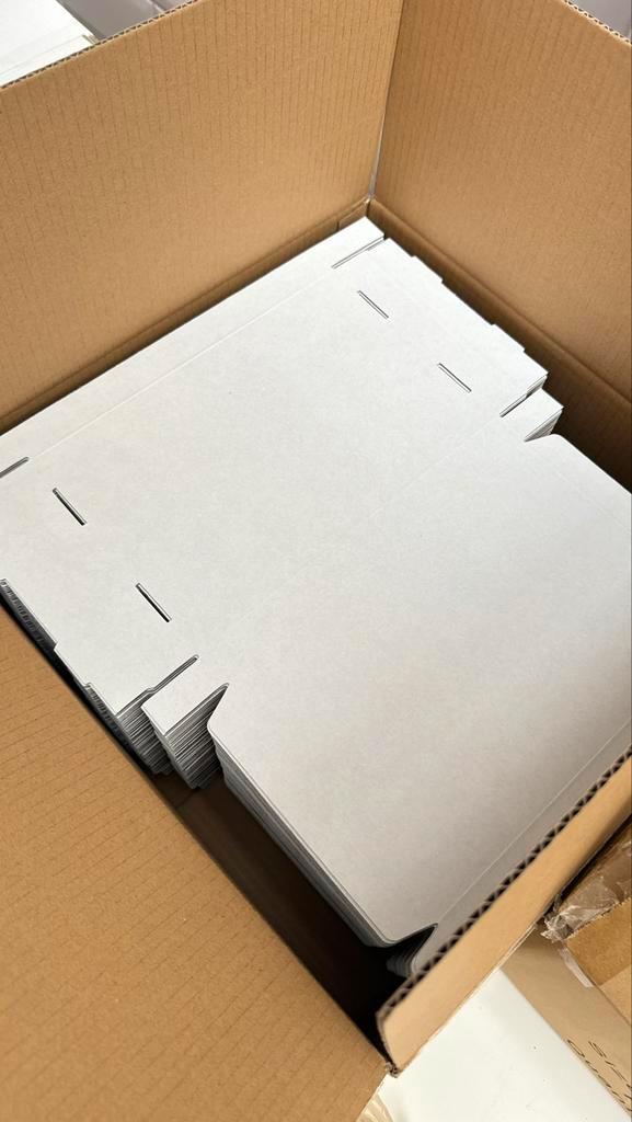 Verzenddozen Brievenbus 16x12x2,5cm (100st), Diversen, Papierwaren, Nieuw, Ophalen of Verzenden