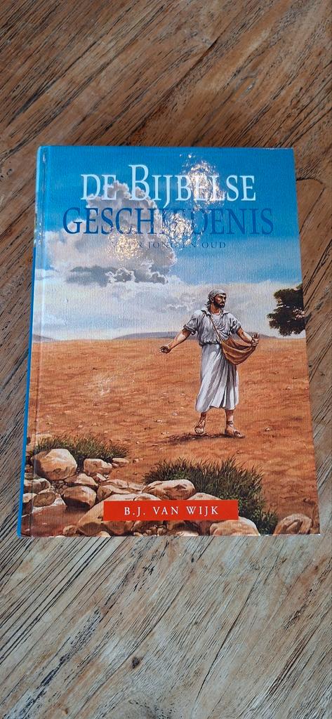 De Bijbelse Geschiedenis: voor jong en oud — B.J. van Wijk, Boeken, Godsdienst en Theologie, Zo goed als nieuw, Christendom | Katholiek