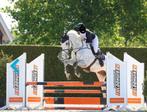 Super brave 9 jarige ruin te koop!, Dieren en Toebehoren, Paarden, Ruin, B, 175 cm of meer, Recreatiepaard