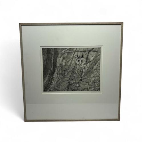 Reinder Homan (1950), Antiek en Kunst, Kunst | Etsen en Gravures, Ophalen of Verzenden