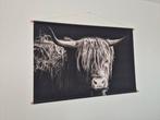 Schotse hooglander op doek, Huis en Inrichting, Woonaccessoires | Schilderijen, Tekeningen en Foto's, 125 cm of meer, Ophalen of Verzenden