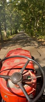Massey ferguson mf 25 diesel met kenteken, Zakelijke goederen, Agrarisch | Tractoren, Gebruikt, Tot 2500, Ophalen of Verzenden