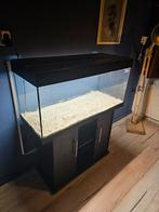Aquarium 180 liter met verlichting, Dieren en Toebehoren, Vissen | Aquaria en Toebehoren, Ophalen, Gebruikt, Leeg aquarium