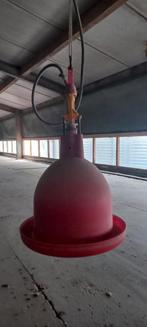 Drinkwaterpan pluimvee, Dieren en Toebehoren, Pluimvee | Toebehoren, Ophalen, Gebruikt, Drinken en Voederen