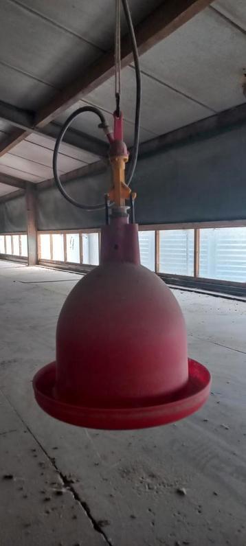 Drinkwaterpan pluimvee beschikbaar voor biedingen