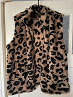 Mooie nieuwe bodywarmer maat 2Xl, Kleding | Dames, Bodywarmers, Ophalen of Verzenden, Nieuw