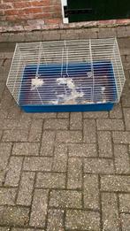 Cavia kooi, blauwe bak, Dieren en Toebehoren, Kooi, Gebruikt, Hamster, 75 tot 110 cm