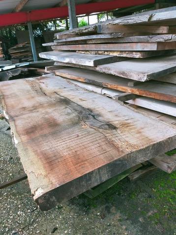  Boomstam tafelbladen en schijven in diverse soorten hout beschikbaar voor biedingen