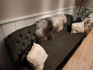 Eettafelbankje - Stijlvol en Comfortabel beschikbaar voor biedingen