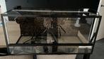 Terrarium 78x40x37cm, Dieren en Toebehoren, Ophalen