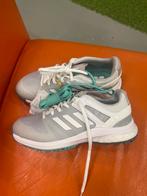Nieuwe Adidas Golfschoenen Dames - Maat 36 2/3, Kleding | Dames, Schoenen, Ophalen of Verzenden, Nieuw, Sportschoenen