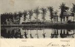 Goes. - Oostsingel. - 1905 gelopen, Verzamelen, Ansichtkaarten | Nederland, Verzenden, Voor 1920, Gelopen, Zeeland