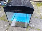 Aquarium 60x30x30, Dieren en Toebehoren, Vissen | Aquaria en Toebehoren, Ophalen, Leeg aquarium