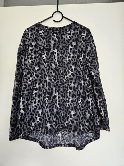 Shirtje lichtgrijs/donkergrijs/zwart, Kleding | Dames, Tops, Gedragen, Maat 46/48 (XL) of groter, Grijs, Lange mouw, Ophalen of Verzenden