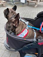Hondenbuggy Hauck/Togfit Pet Roadster, Ophalen, Zo goed als nieuw