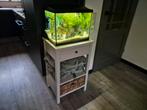 Aquarium inclusief guppen + kastje, Dieren en Toebehoren, Ophalen, Zo goed als nieuw, Gevuld zoetwateraquarium