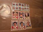 Panini Voetbal 1980, Ophalen of Verzenden, Zo goed als nieuw, Ajax, Poster, Plaatje of Sticker