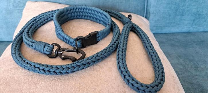 Hondenhalsband en riem voor windhonden, Dieren en Toebehoren, Hondenriemen, Nieuw, Hondenriem, Ophalen of Verzenden