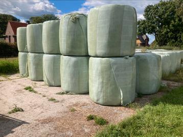 Voordroog gras foliebalen - veevoer beschikbaar voor biedingen