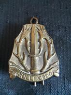 Oud embleem Regiment Stoottroepen, Verzenden, Landmacht, Nederland, Embleem of Badge