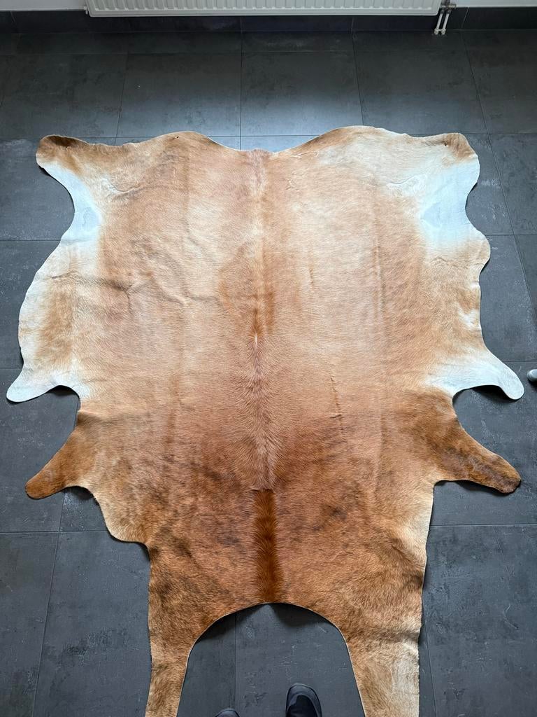 Mooie koeienhuid voor wand of vloer, Ophalen, Bruin, 200 cm of meer, Zo goed als nieuw