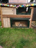 Dierenoppas/vakantieopvang, Dieren en Toebehoren, Knaagdieren en Konijnen | Hokken en Kooien, Ophalen, 60 tot 90 cm, Nieuw, Hok