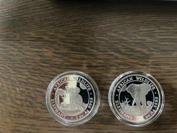 2x African Wildlife Elephant 1 oz beschikbaar voor biedingen