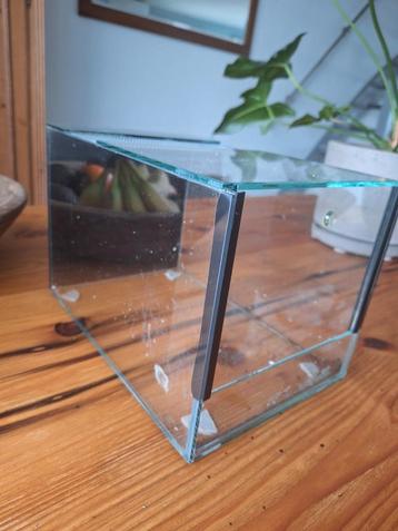 Spinnen terrarium met valruit beschikbaar voor biedingen