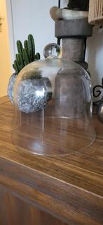 Grote glazen stolp!, Huis en Inrichting, Woonaccessoires | Stolpen, Ophalen, Zo goed als nieuw