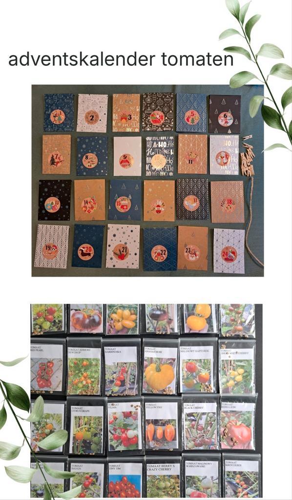 Adventskalender tomaten, Tuin en Terras, Bloembollen en Zaden, Volle zon, Verzenden