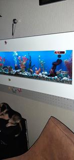 Wand  aquarium aangeboden lees verder L150 H 50 D 15 cm, Dieren en Toebehoren, Vissen | Aquaria en Toebehoren, Ophalen, Gebruikt