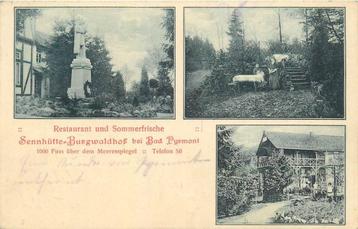 (379-154-001) Bad Pyrmont Sennhütte Burgwaldhof beschikbaar voor biedingen