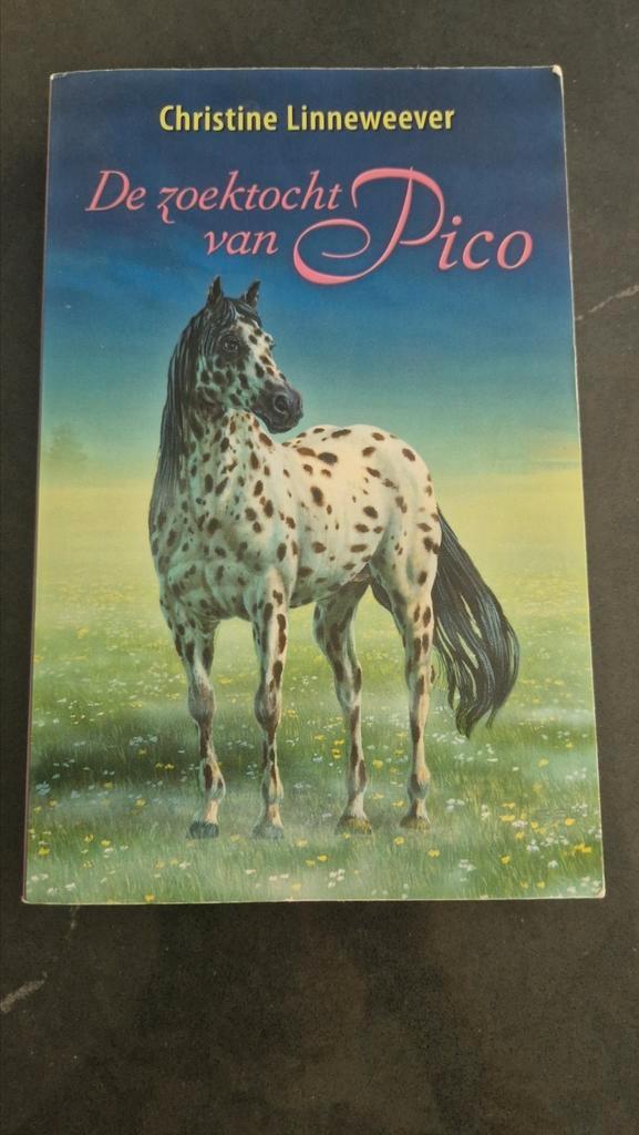 Christine Linneweever - De zoektocht van Pico-Gouden paarden, Boeken, Kinderboeken | Jeugd | 10 tot 12 jaar, Zo goed als nieuw