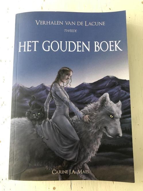 Verhalen van de Lacune 2 - Het Gouden Boek, Fantasy, Boeken, Fantasy, Zo goed als nieuw, Ophalen of Verzenden