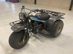 Kawasaki Klt250c Trike