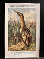 Vogel kaarten 6 stuks, Verzenden, 1980 tot heden, Ongelopen, Vogel