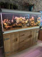 ZEER MOOI AQUARIUM, Ophalen of Verzenden, Zo goed als nieuw, Leeg aquarium