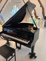 Petrof MOD IV vleugel met KORG Piano Sound-Cancelling Unit, Ophalen, Gebruikt, Zwart, Vleugel