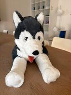 Knuffel Huski, Ophalen of Verzenden, Zo goed als nieuw, Overige typen